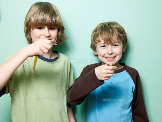 Studio Shot of Two Boys Holding Lizards
(c)clover/a.collectionRF