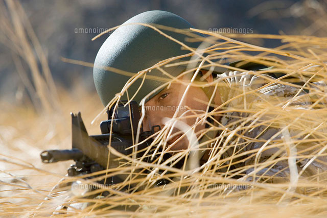 Soldier aiming rifle hiding in long grass (close-up)
(c)moodboard