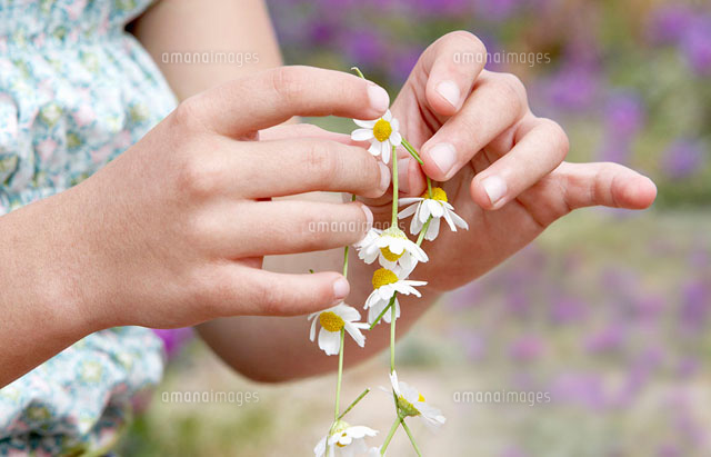 Pre-teen Girl Making Necklace of Flowers close-up
(c)moodboard