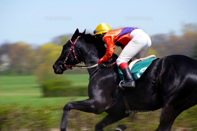 黒い馬に乗る騎手 11069007526 の写真素材 イラスト素材 アマナイメージズ