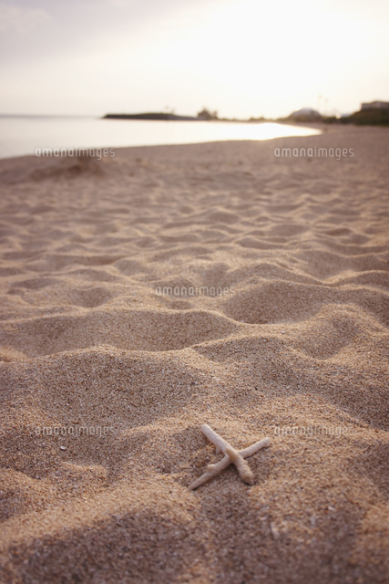 砂浜
(c)hi-bi
