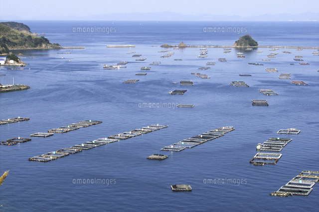 養殖筏のある海 の写真素材 イラスト素材 アマナイメージズ