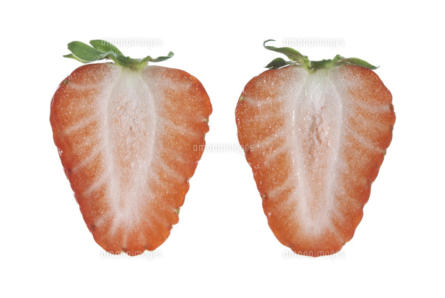 ベスト50 いちご 断面 イラスト すべてのイラスト画像