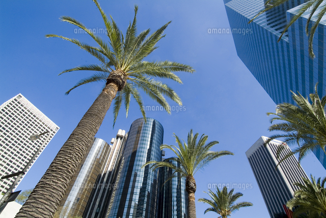 Downtown Bonaventure Hotel In Background Los Angeles の写真素材 イラスト素材 アマナイメージズ
