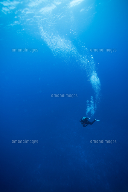 Person Scuba Diving In Sea
(c)Hoiseung Jung / EyeEm