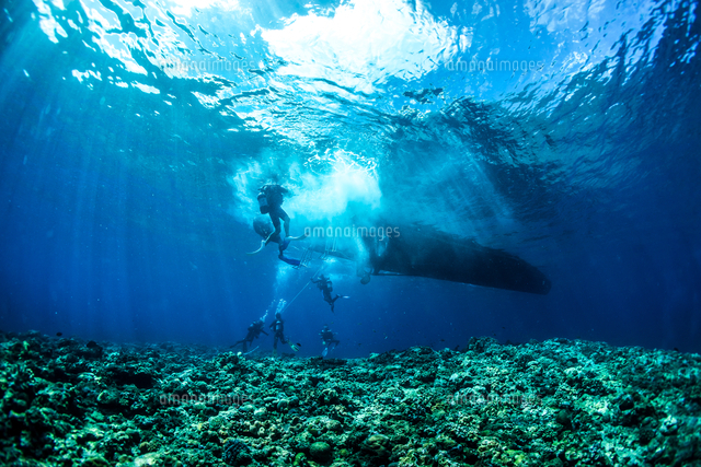 Scuba Divers In Sea
(c)Hoiseung Jung / EyeEm