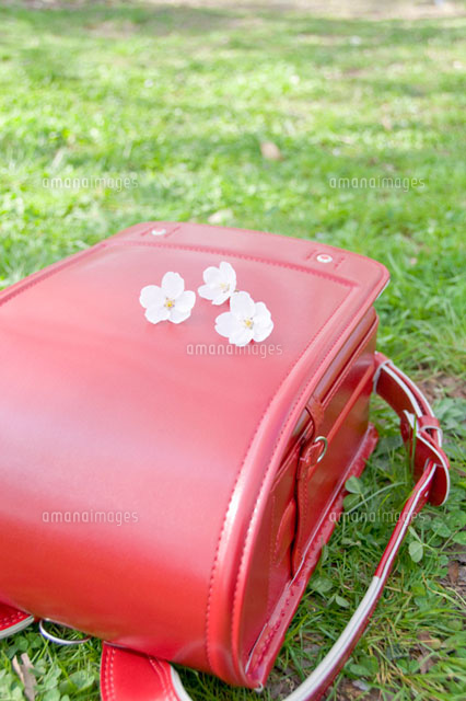 ランドセルと桜の花
(c)DAJ