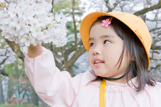 桜に手を伸ばす新入園生
(c)DAJ