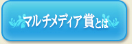 マルチメディア賞とは