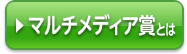マルチメディア賞とは