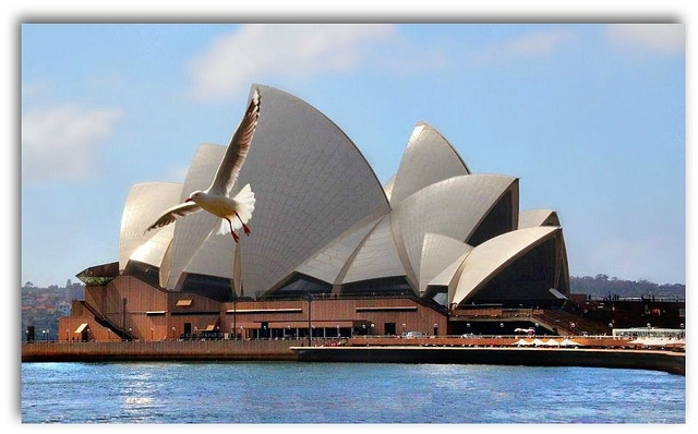 australia australia