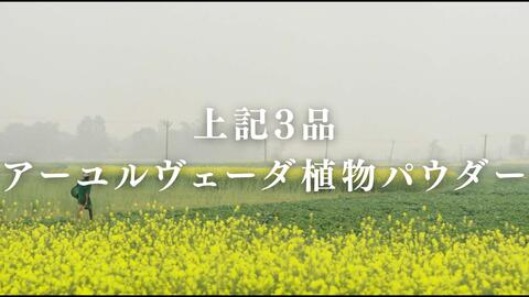 上記３品＋アーユルヴェーダの植物パウダー