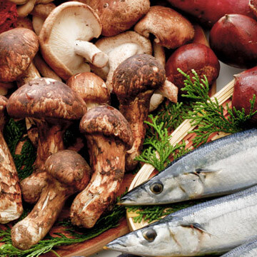 秋太りを防ぐ！！食欲の秋でも太らない5つのルール