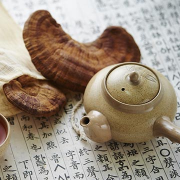 イライラを抑え不眠や肩こりにおすすめの漢方「柴胡加竜骨牡蛎湯」