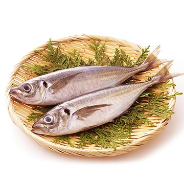 DHAなどの不飽和脂肪酸を豊富に含んだ「あじ」の特徴や調理法