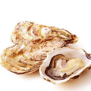 亜鉛を多く含み新陳代謝を促す食材「かき」の特徴や調理法