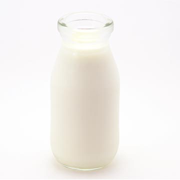 牛乳は優れたカルシウムの供給源！良質なたんぱく質も摂れる