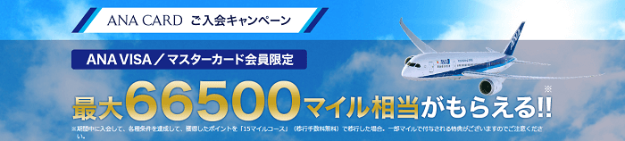 ANACARDご入会キャンペーンの画像