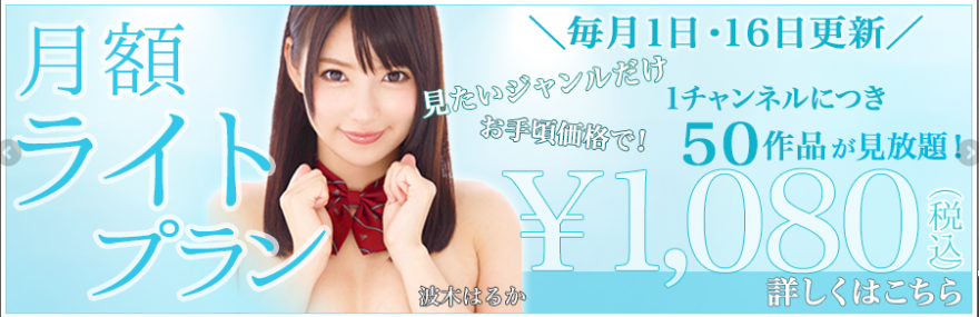 TSUTAYA TV 月額見放題ライト