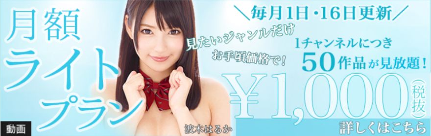 TSUTAYA TV アダルト