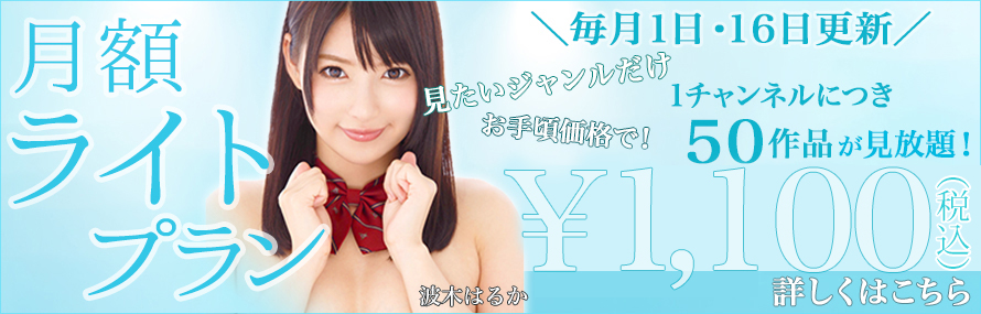 TSUTAYA TV 月額見放題ライト