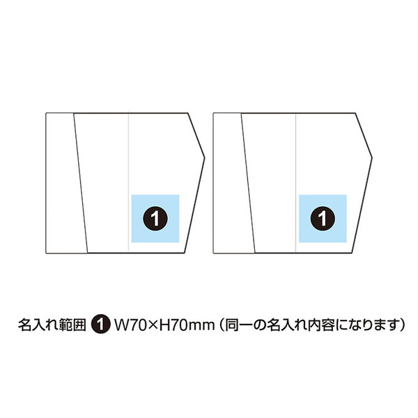 丹後ちりめん刺繍金封ふくさセット 二羽鶴×蘭