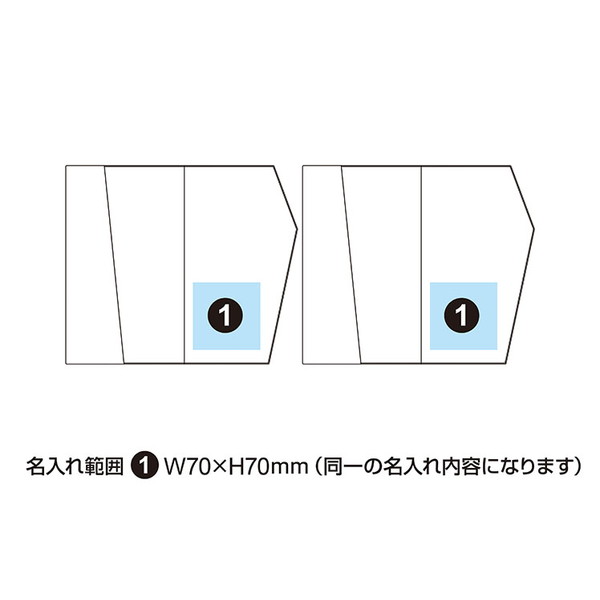 金封ふくさ 慶弔セット のぞきポリエステル