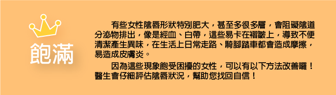 私密手術,G緊,微創處女膜修補術,陰道緊縮術,陰道緊實注射,小陰唇美化術,大陰唇整形術