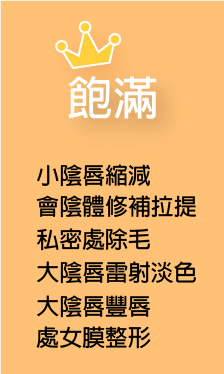 高雄私密手術,G緊,微創處女膜修補術,陰道緊縮術,陰道緊實注射,小陰唇美化術,大陰唇整形術.png