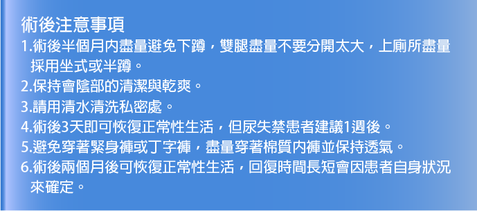 私密手術,G緊,微創處女膜修補術,陰道緊縮術,陰道緊實注射,小陰唇美化術,大陰唇整形術.