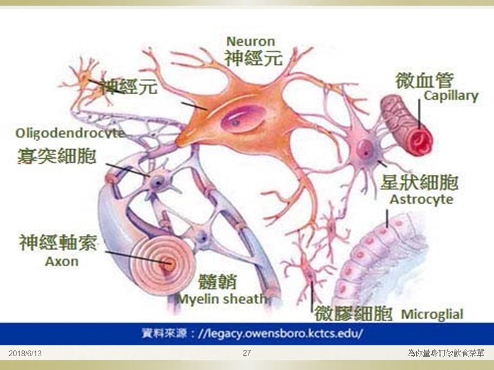 投影片27.JPG