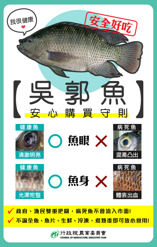 吳郭魚2.jpg