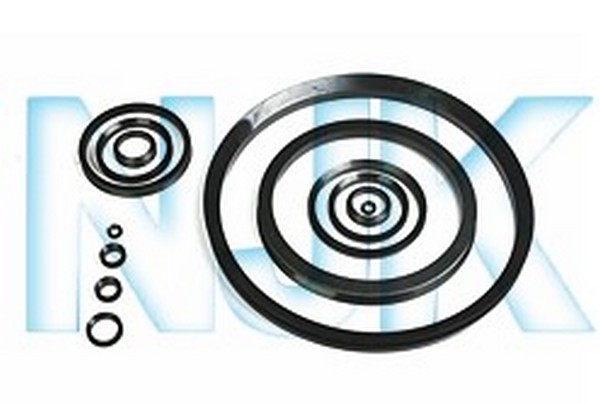 V-ring.jpg