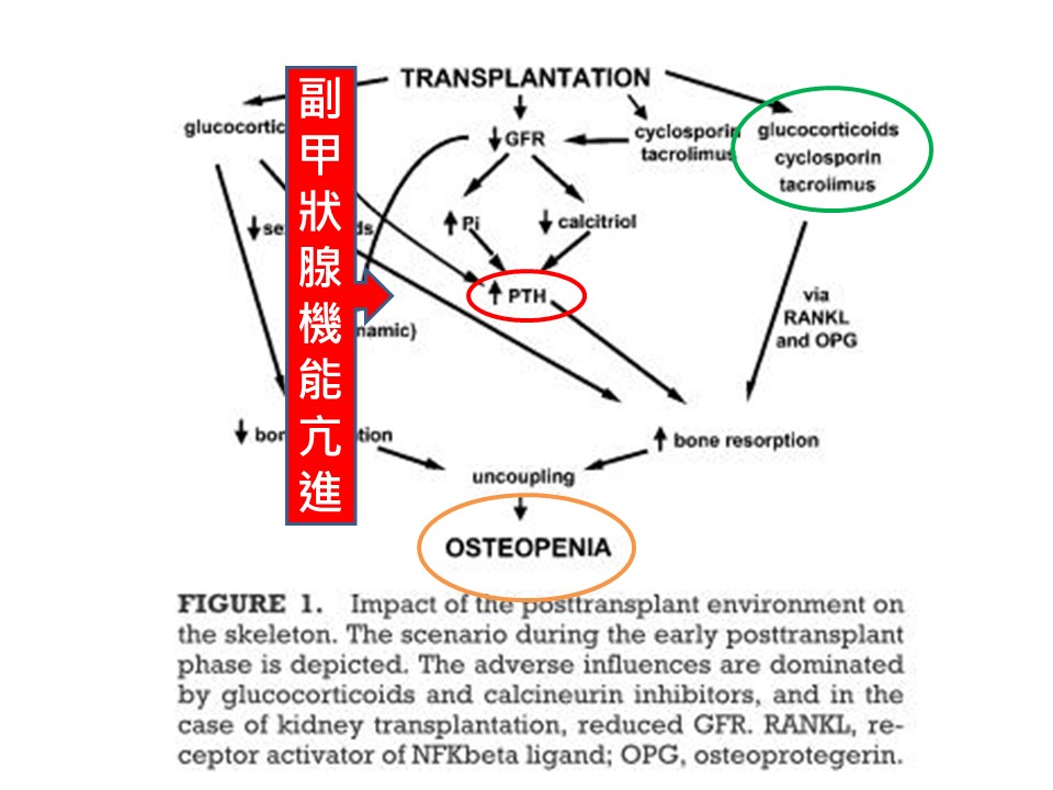 投影片61.JPG