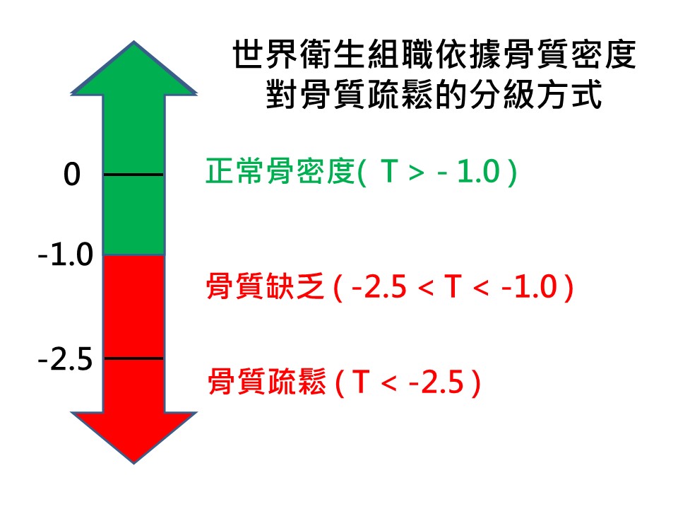 投影片20.JPG