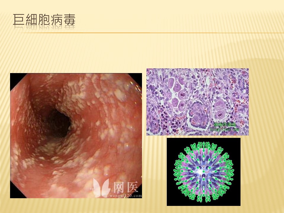 投影片8.JPG