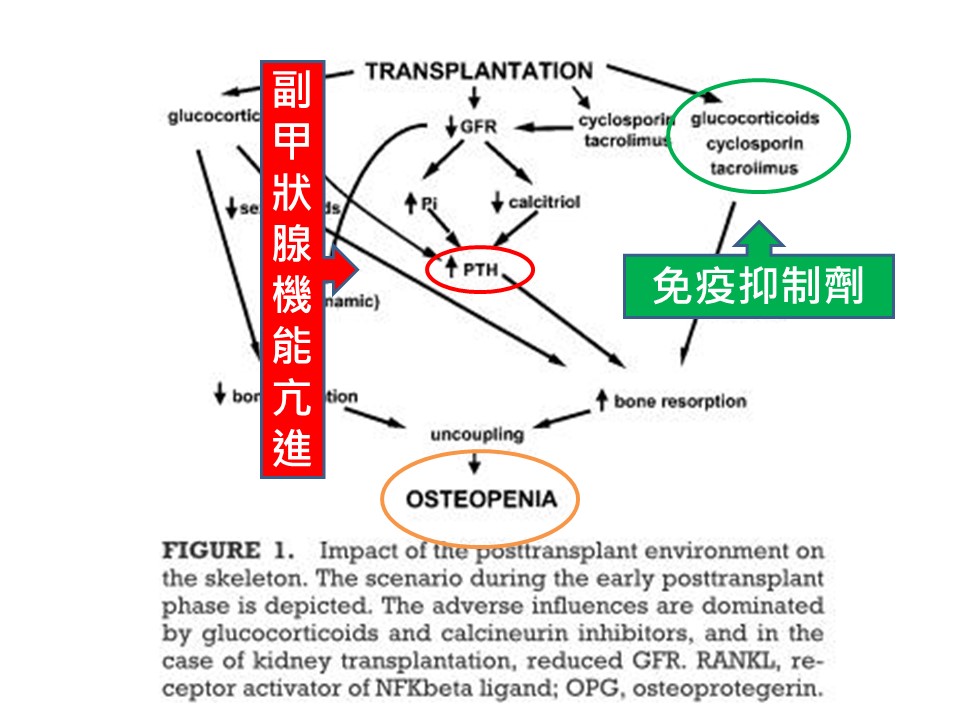 投影片62.JPG