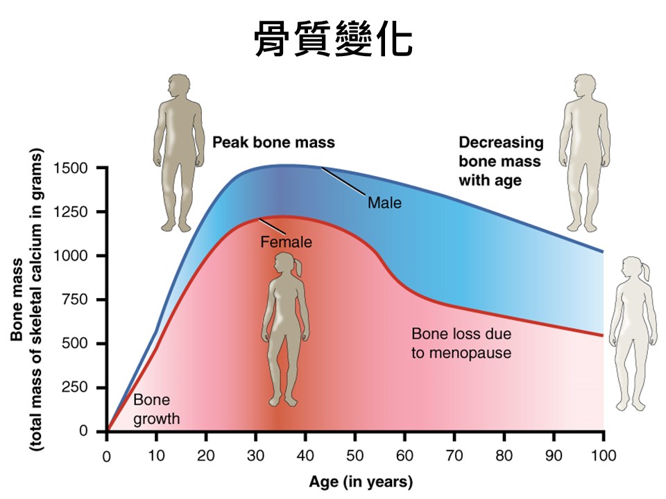 投影片17.JPG