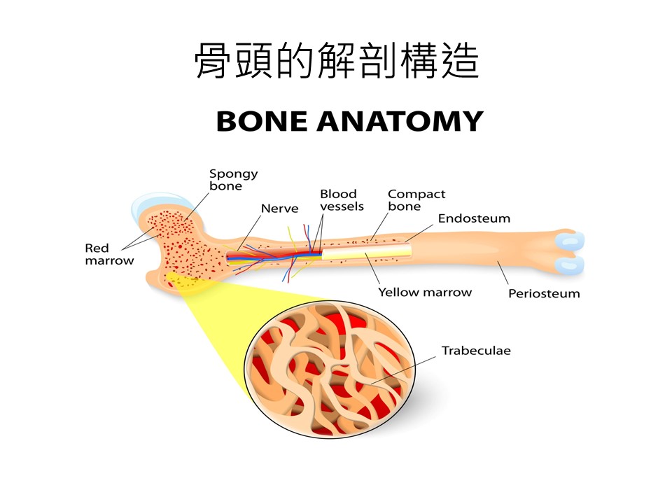 投影片10.JPG