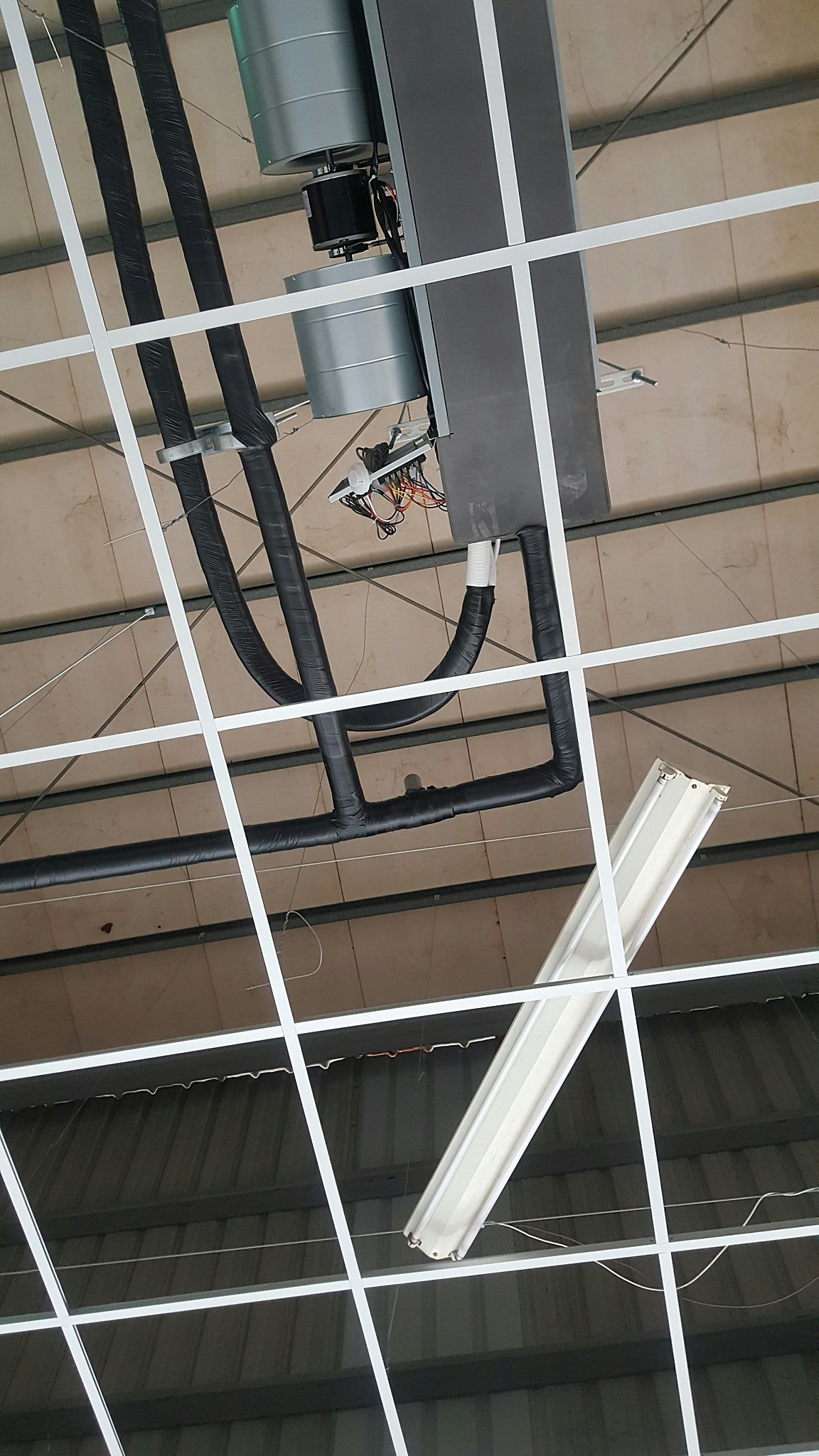 201722 濰克文中店_170328_0014.jpg