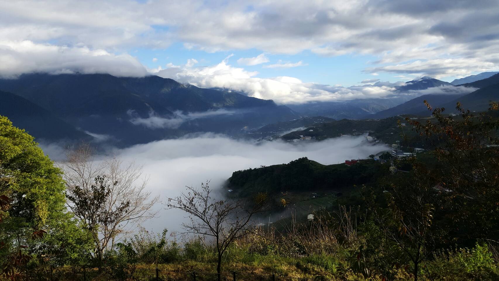 梨山雲海.jpg