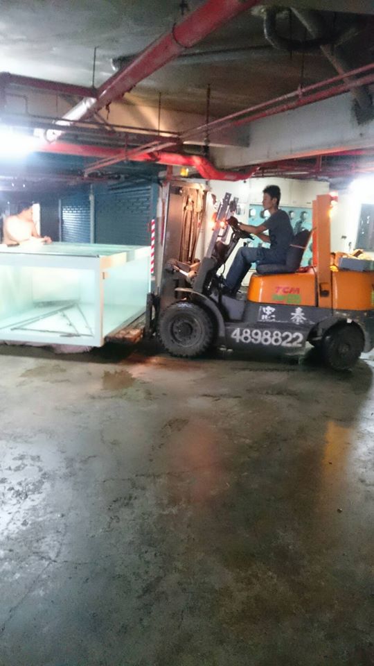 19247896_1944093469136862_1019555797412091373_n.jp