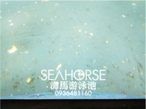 20180112 海馬游泳池-生態水族池維生系統處理-泳池工程施工設備設計維修-01.jpg