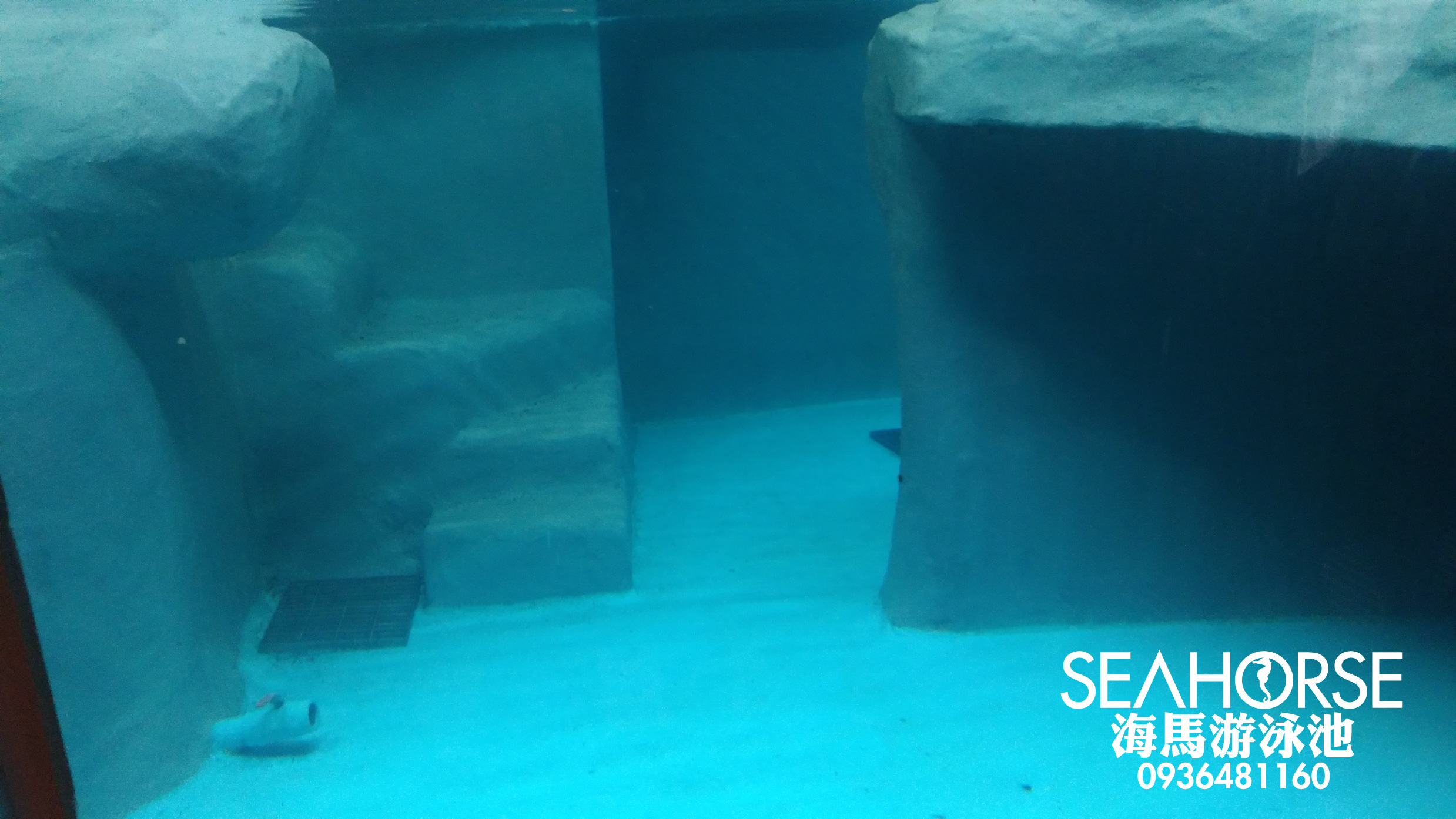 20180208 海馬游泳池-動物園生態景觀企鵝池水質改善計畫-泳池工程施工設備設計維修-01.jp