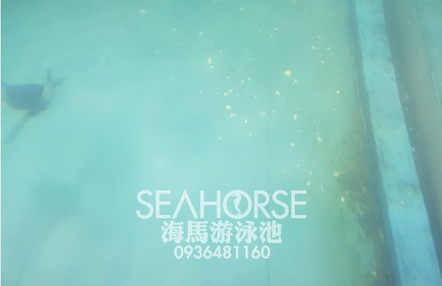 20180115 海馬游泳池-生態水族池維生系統處理-泳池工程施工設備設計維修-01.jpg