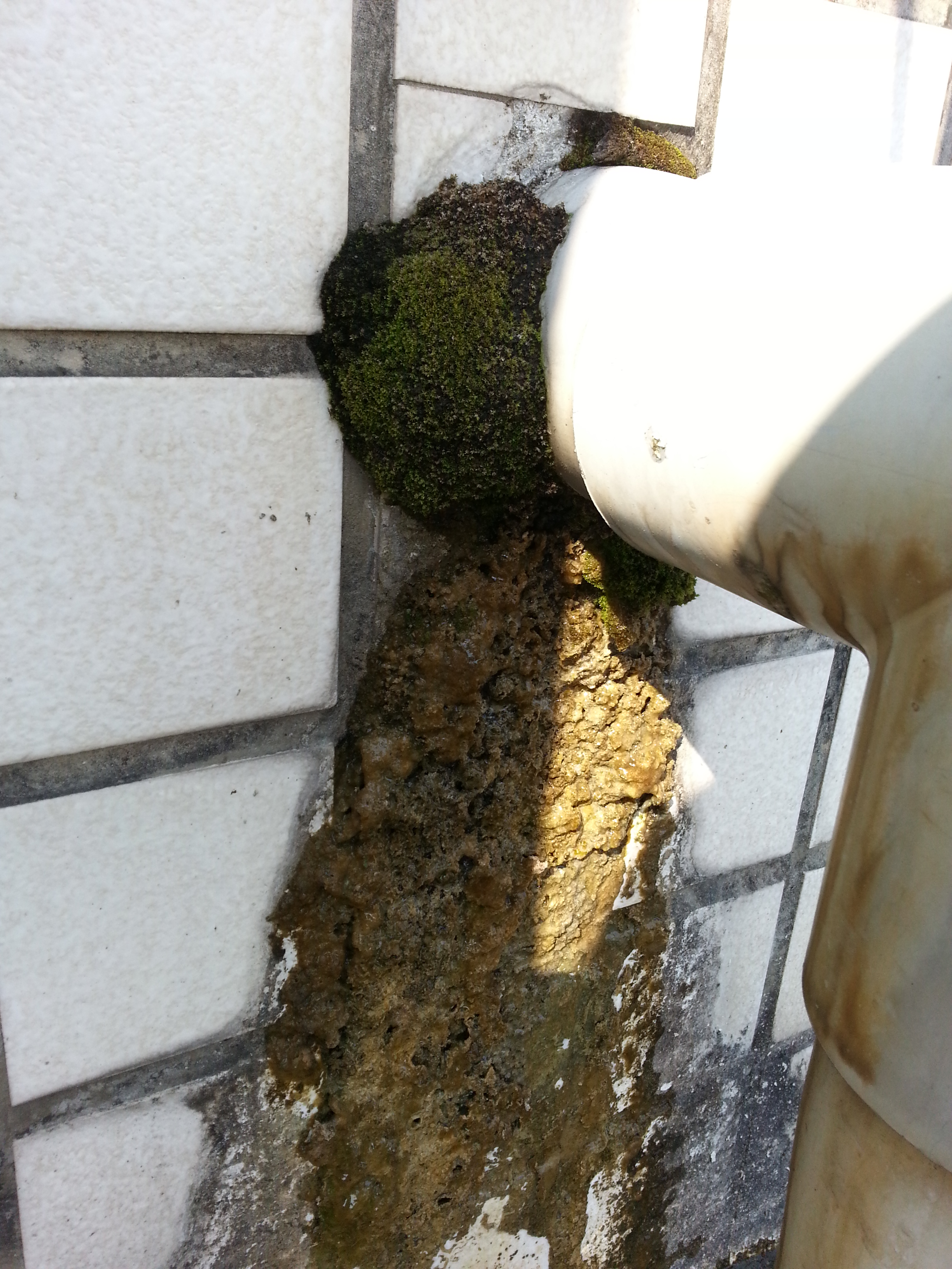 大樓蓄水池漏水維修 宜家防水工程