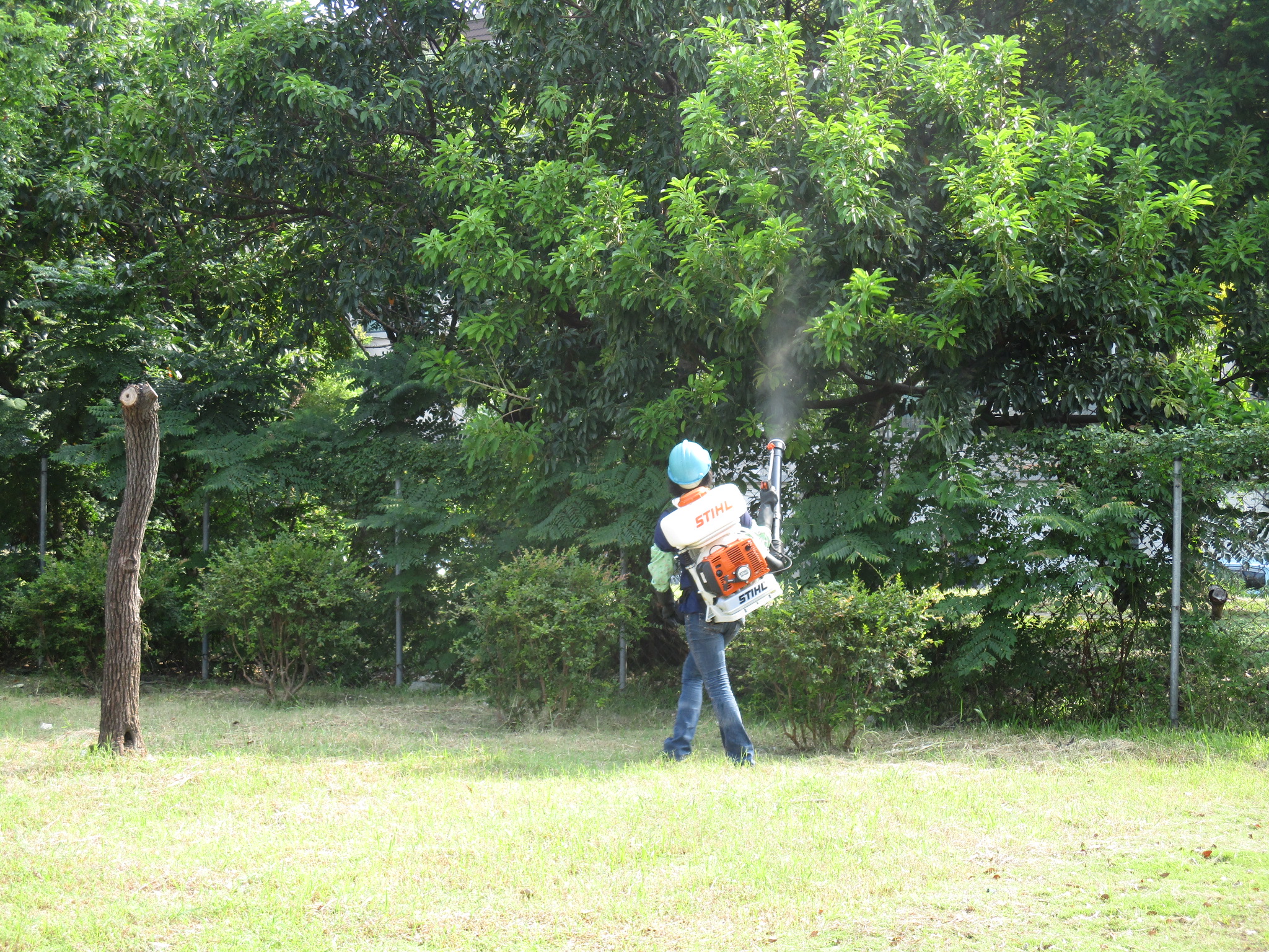 樹叢間消毒防疫 (1).JPG