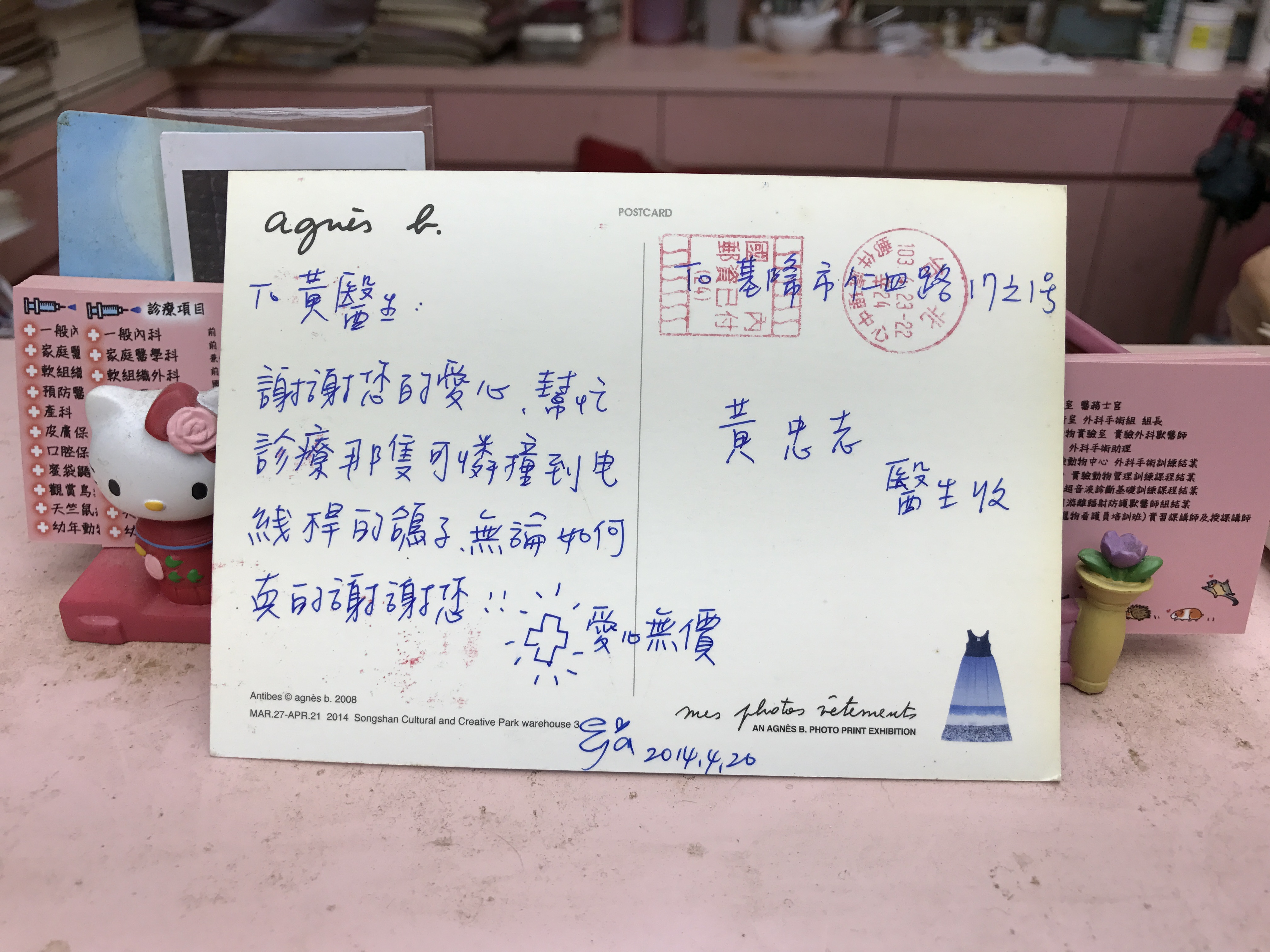 基隆貓狗醫院 基隆獸醫 免費健康檢查 基隆汎汶動物醫院