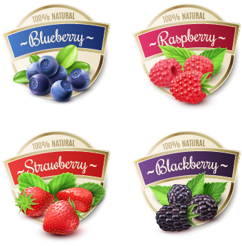 水果包裝貼紙 [轉換].jpg