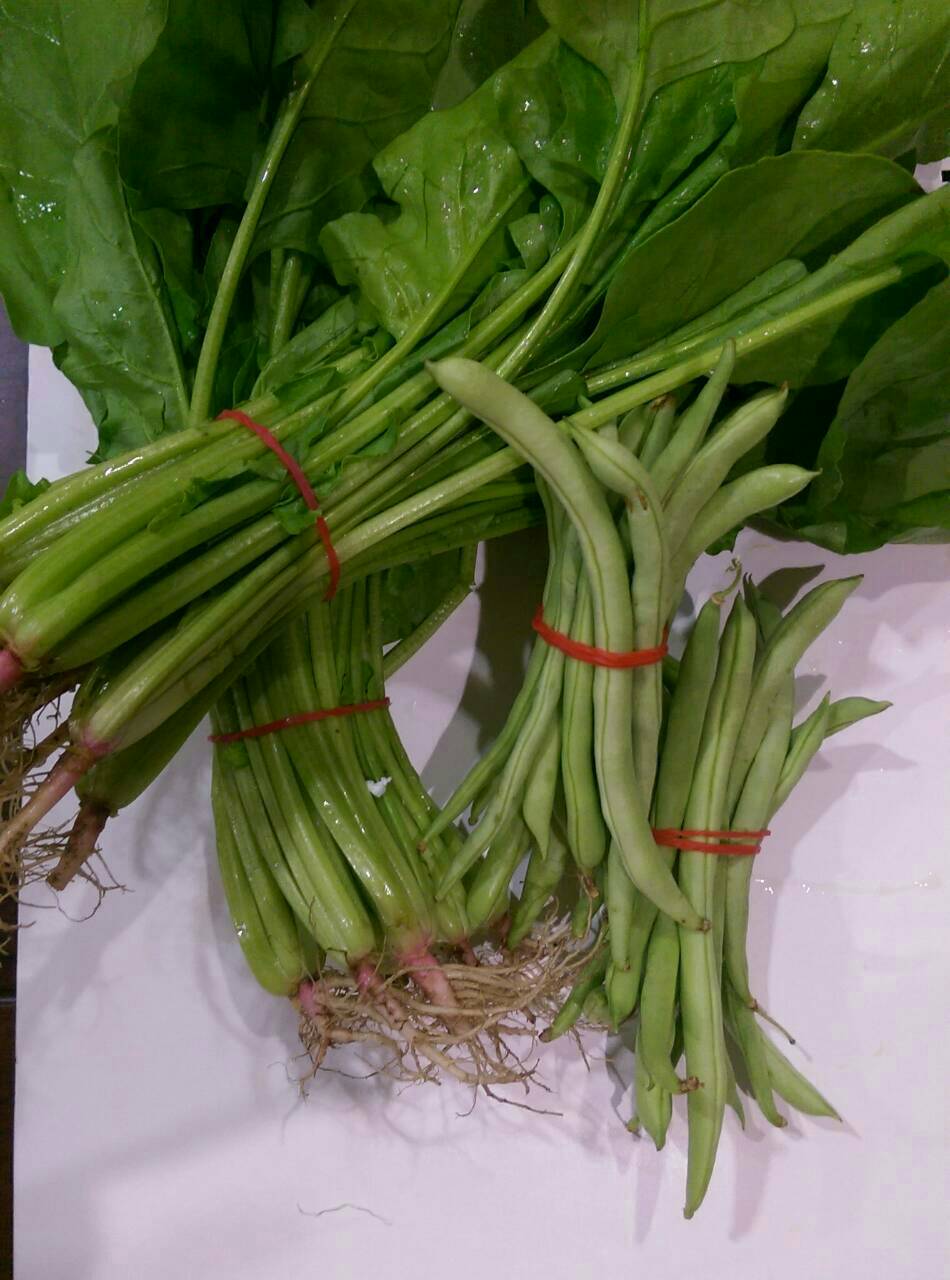 100% Natural Rubber Band2.jpg